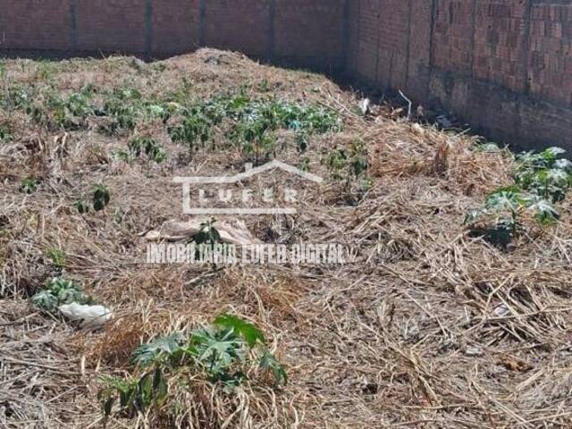 Terreno para Venda em Araraquara - 5